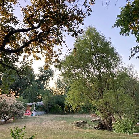 Cabane Bivouac Avec Echelle A L'Ombre Des Chenes Idrac-Respailles Zewnętrze zdjęcie