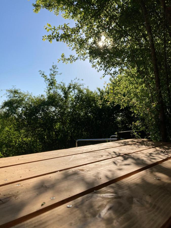 Cabane Bivouac Avec Echelle A L'Ombre Des Chenes Idrac-Respailles Zewnętrze zdjęcie