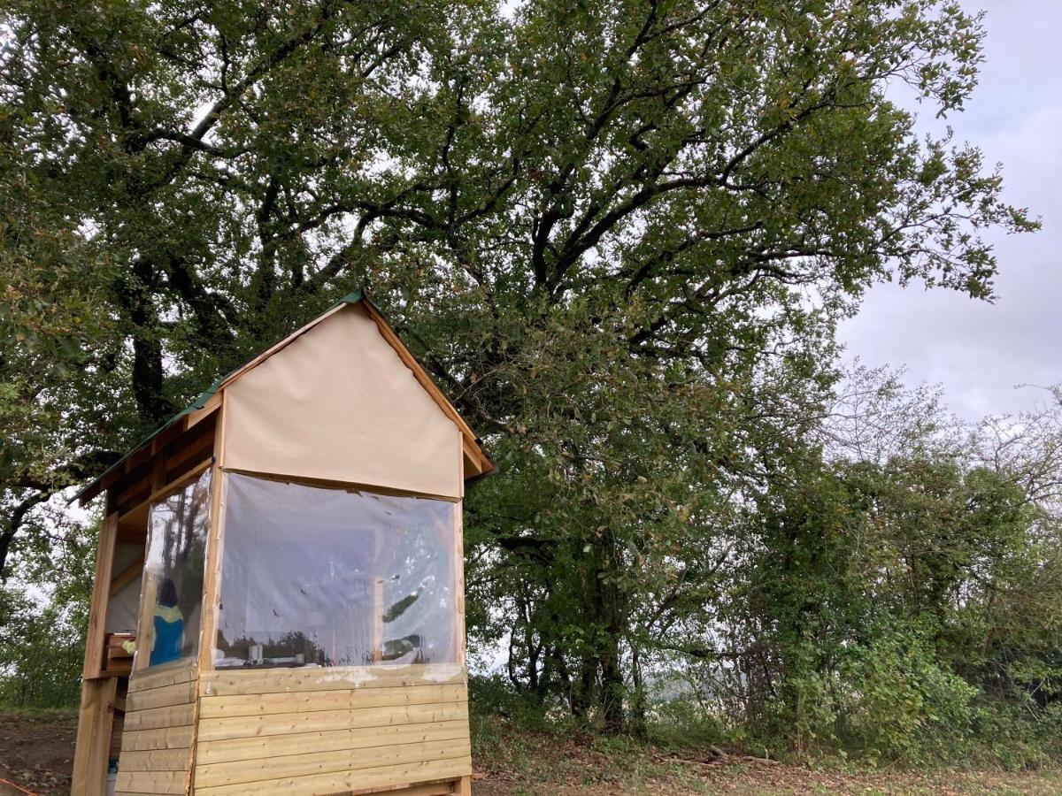 Cabane Bivouac Avec Echelle A L'Ombre Des Chenes Idrac-Respailles Zewnętrze zdjęcie